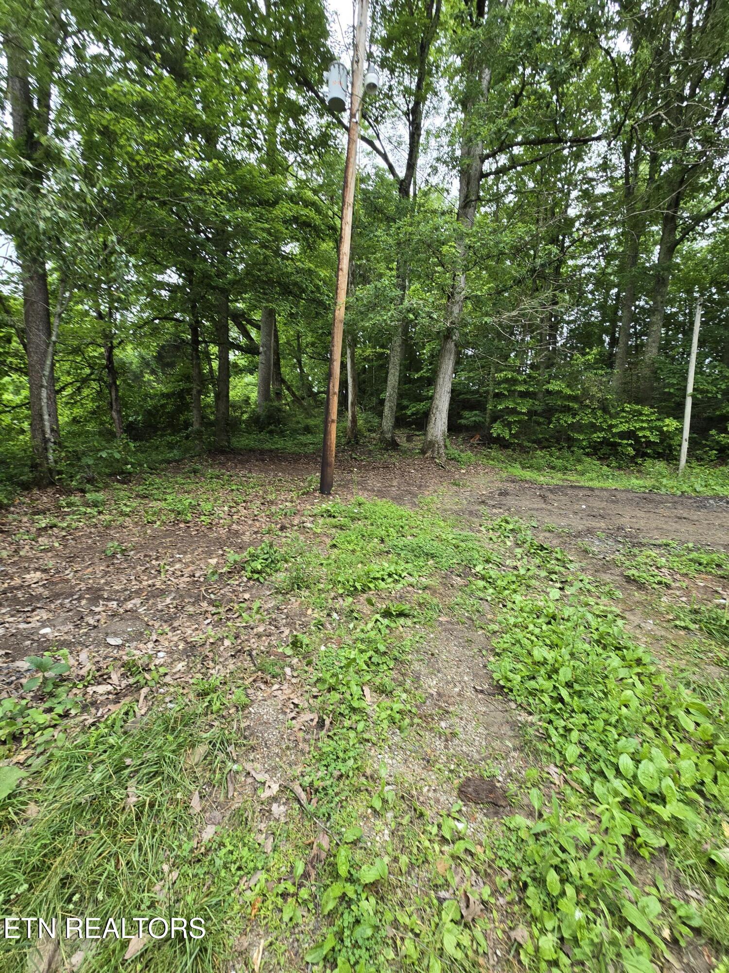 689 Ivey Hollow Road Lafollette TN 37766