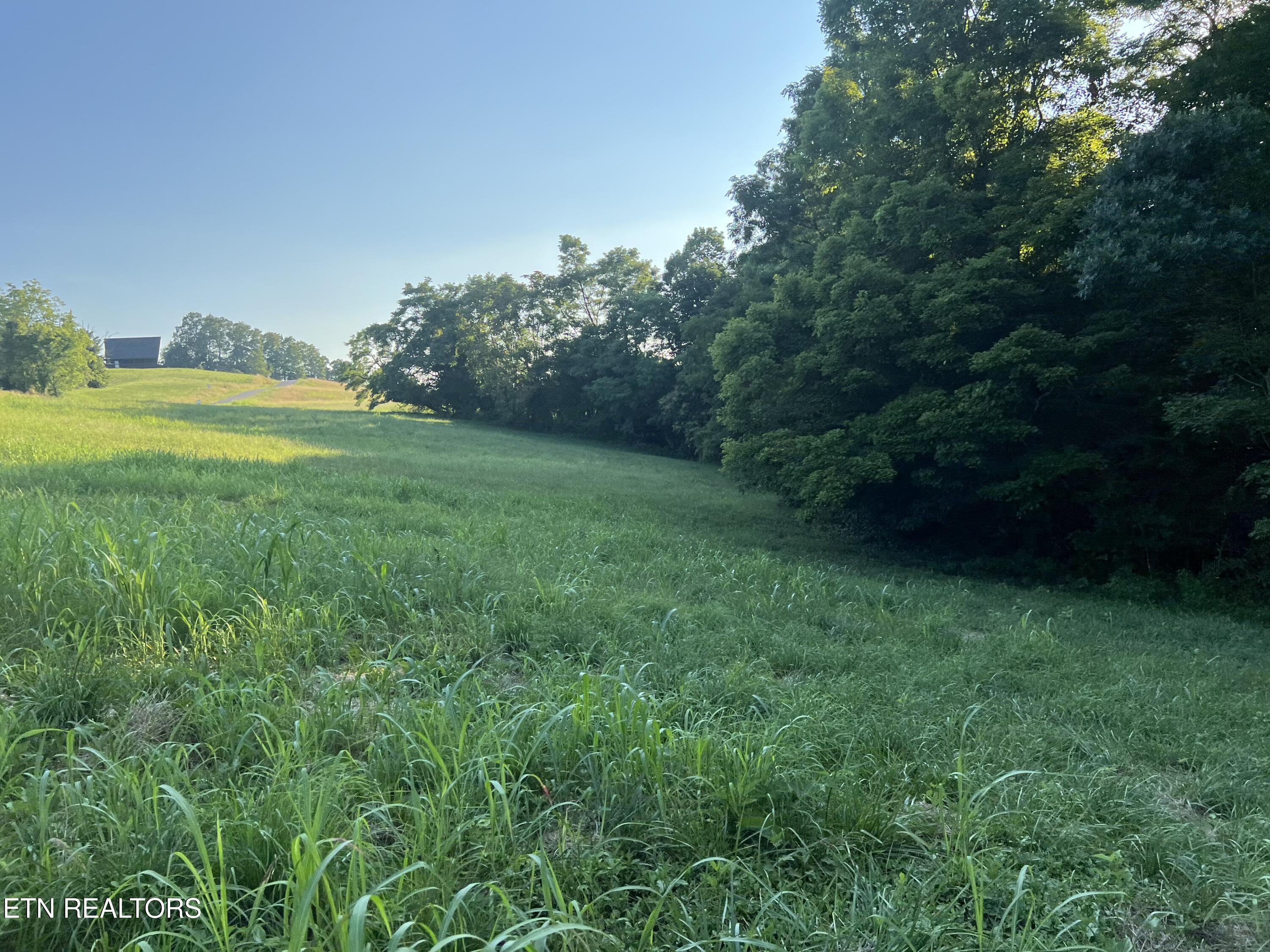 Lot 19 Amonett Circle Byrdstown TN 38549