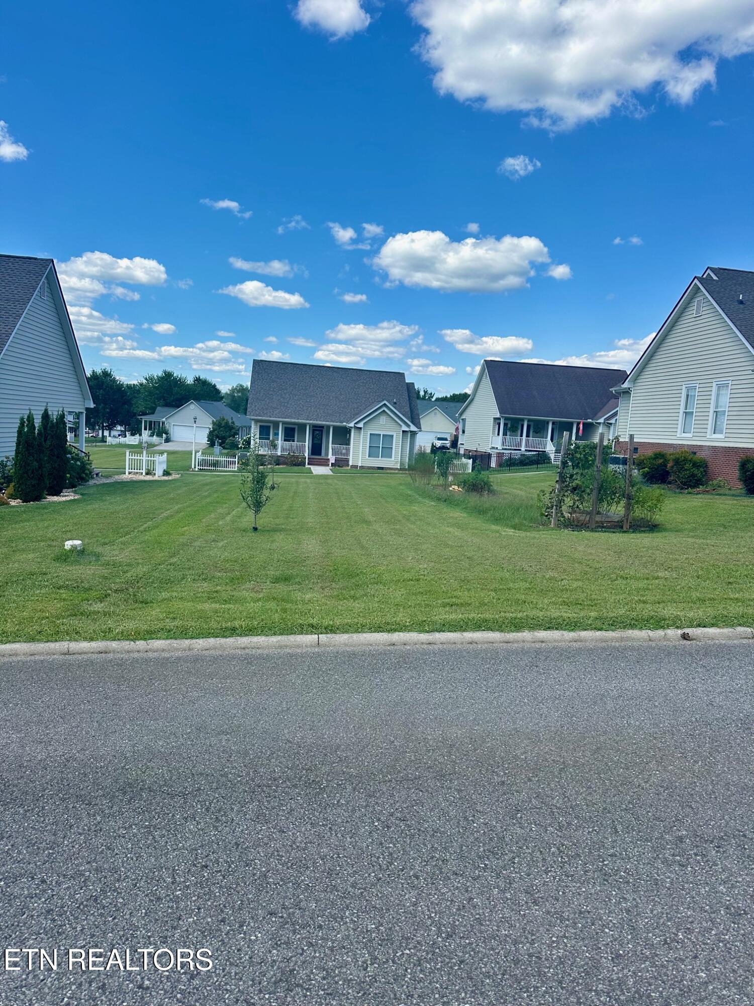 Chicory Drive Andersonville TN 37705