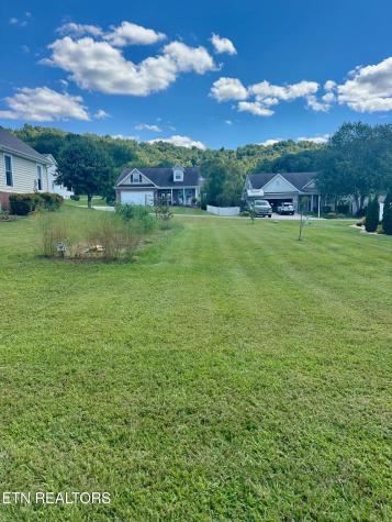 Chicory Drive Andersonville TN 37705