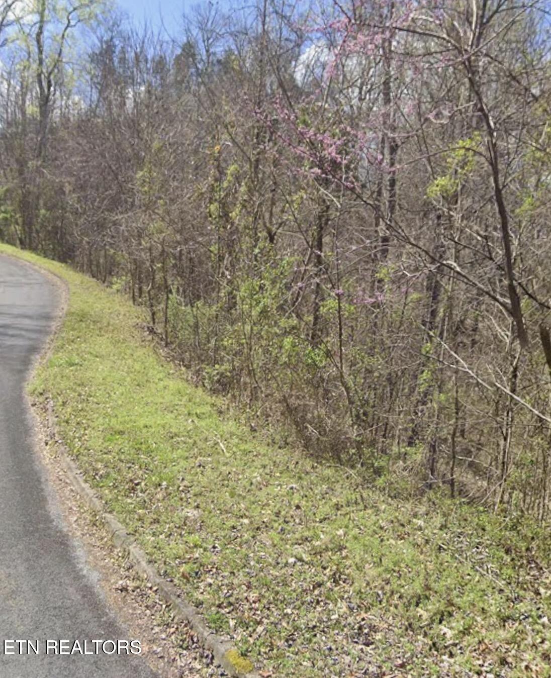 Penelope Lane Sevierville TN 37876