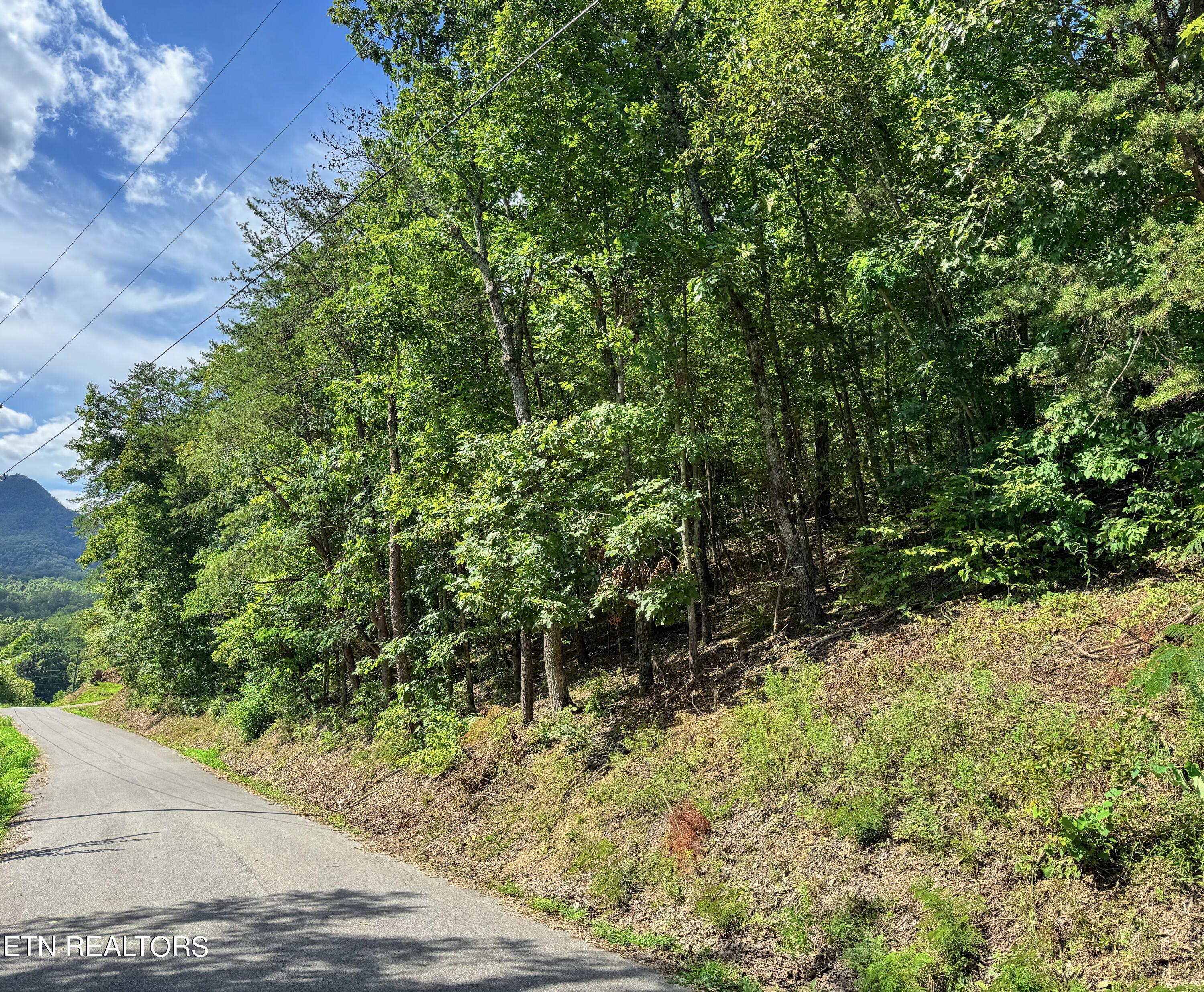 Helton Road Sevierville TN 37876