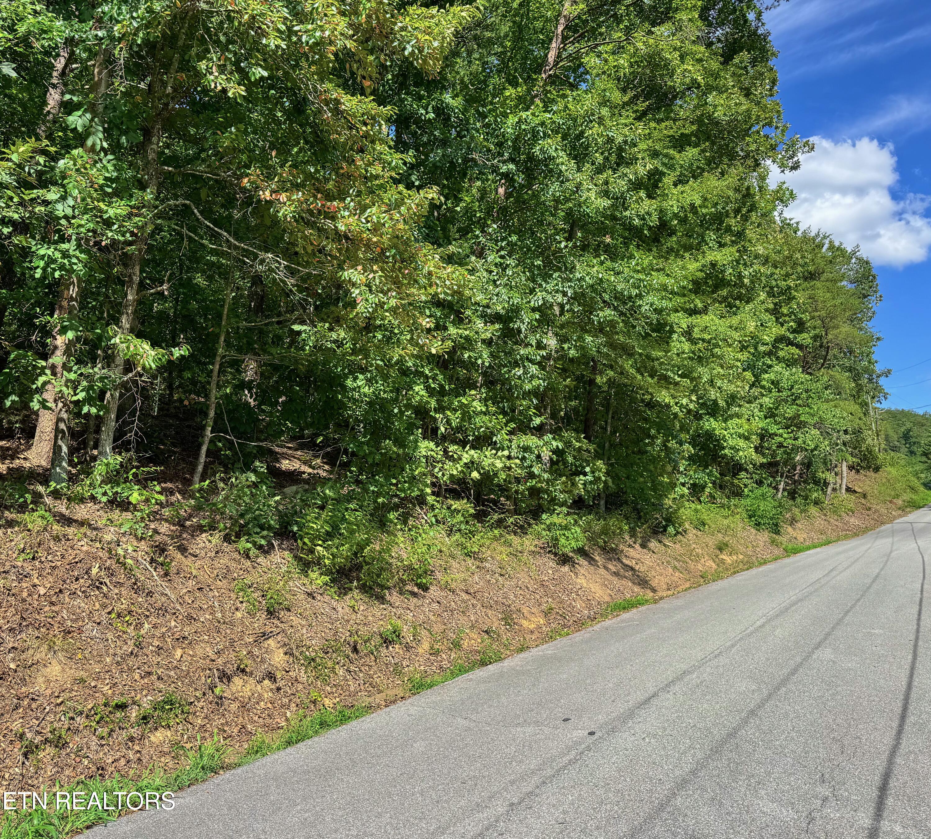 Helton Road Sevierville TN 37876