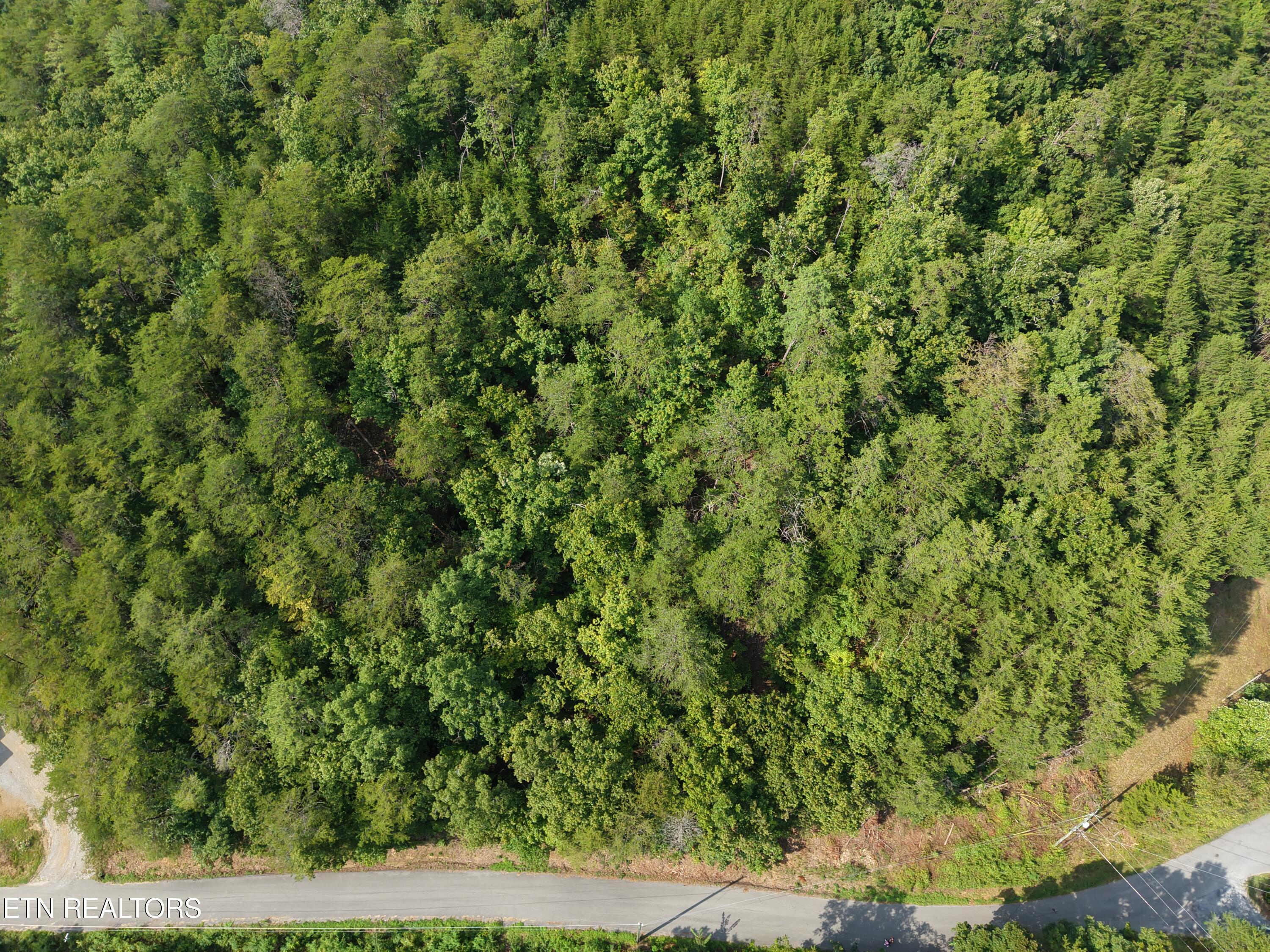 Helton Road Sevierville TN 37876