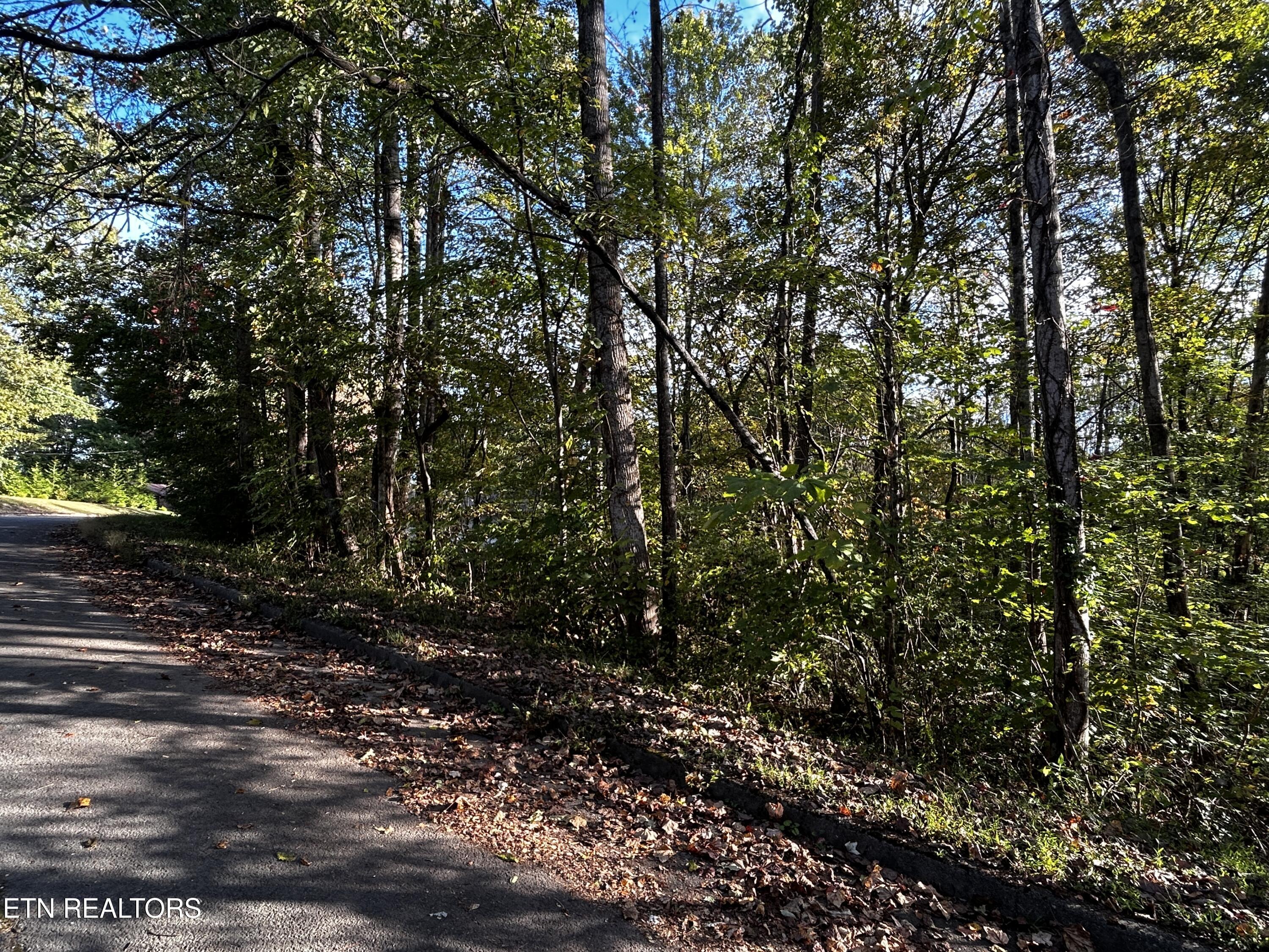 Lot 18 Revere Avenue Clinton TN 37716