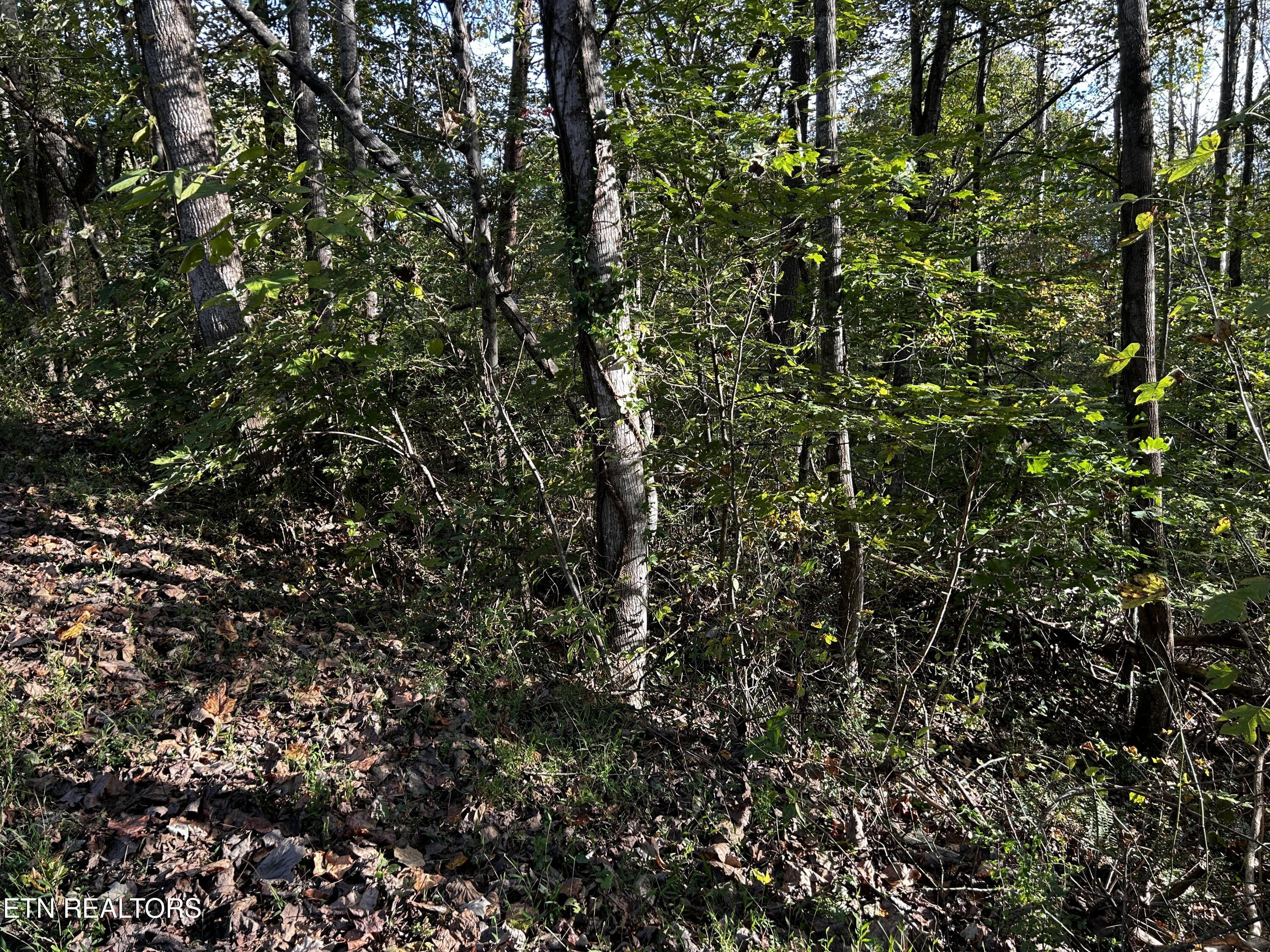 Lot 18 Revere Avenue Clinton TN 37716