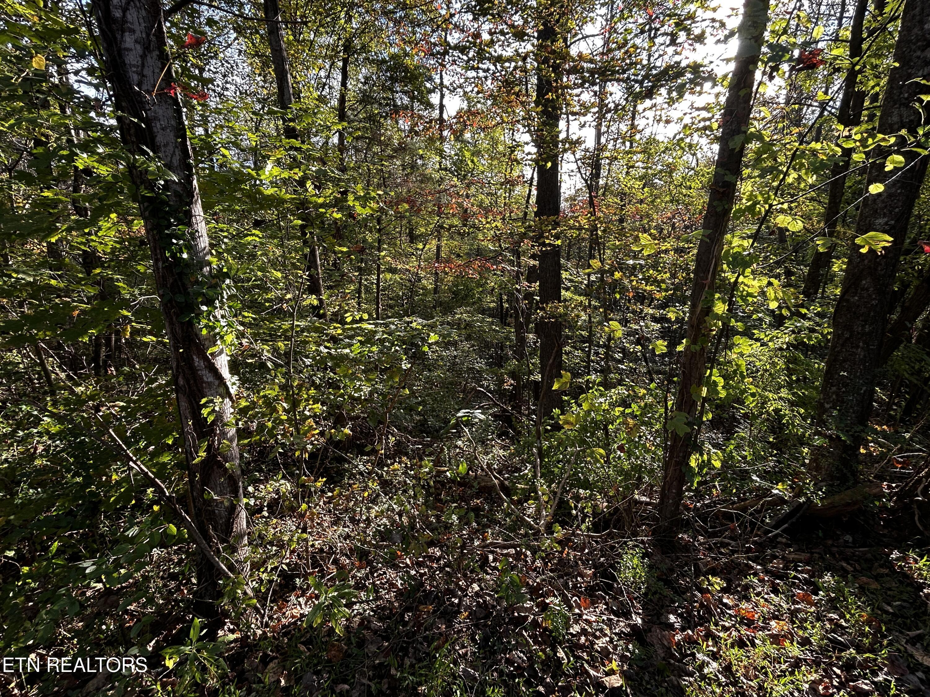 Lot 18 Revere Avenue Clinton TN 37716