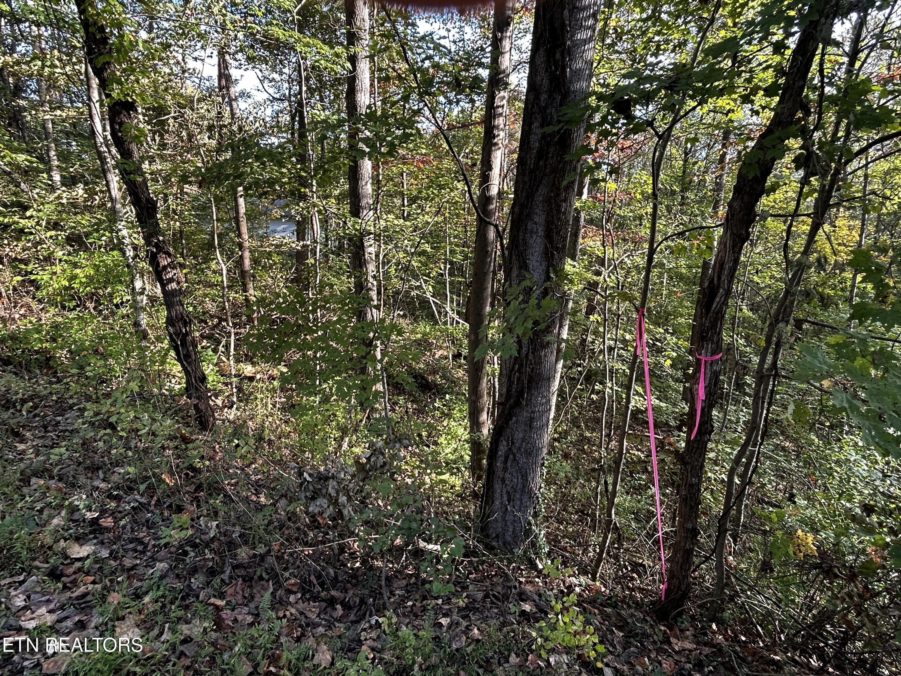Lot 18 Revere Avenue Clinton TN 37716