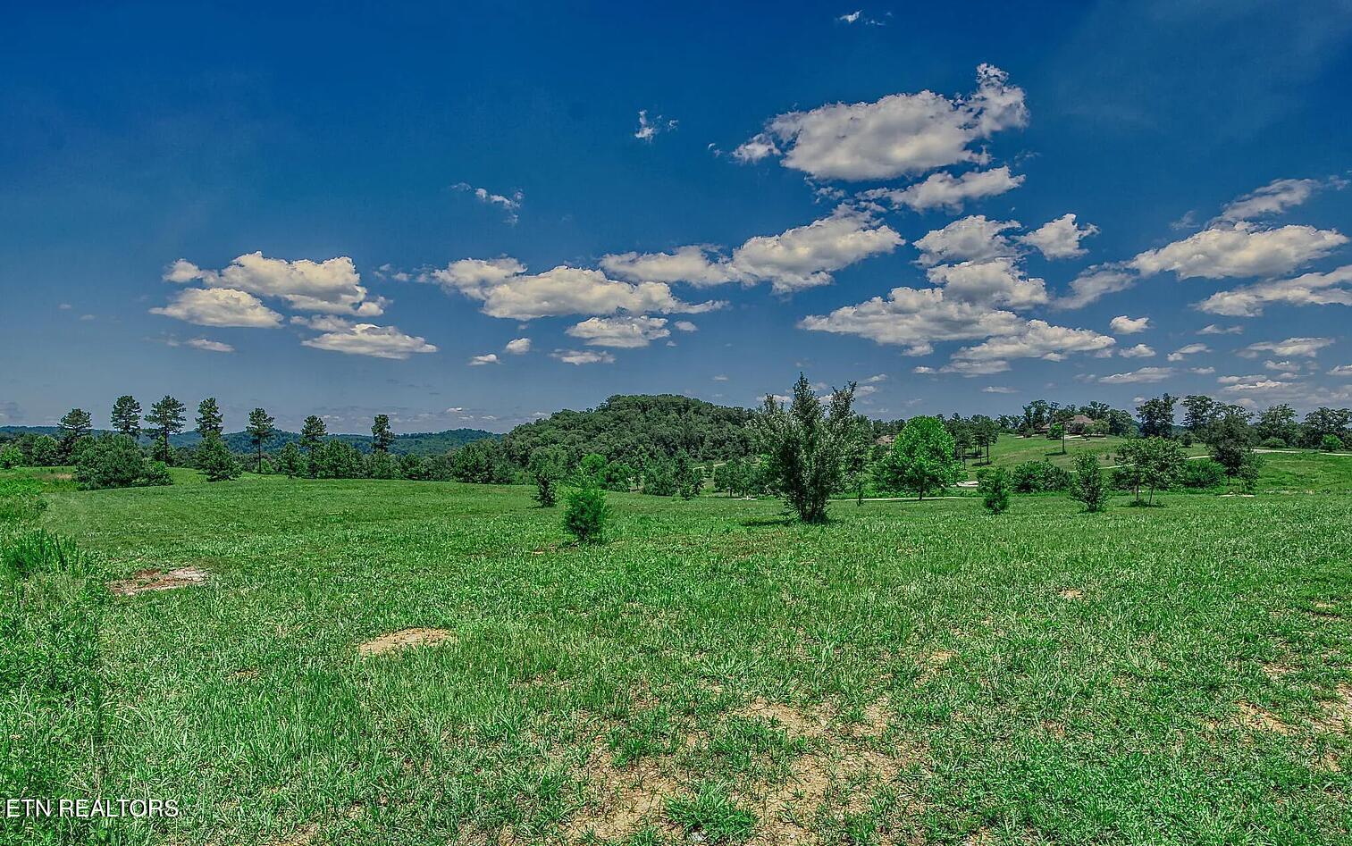 408 Wood Duck Lane Loudon TN 37774