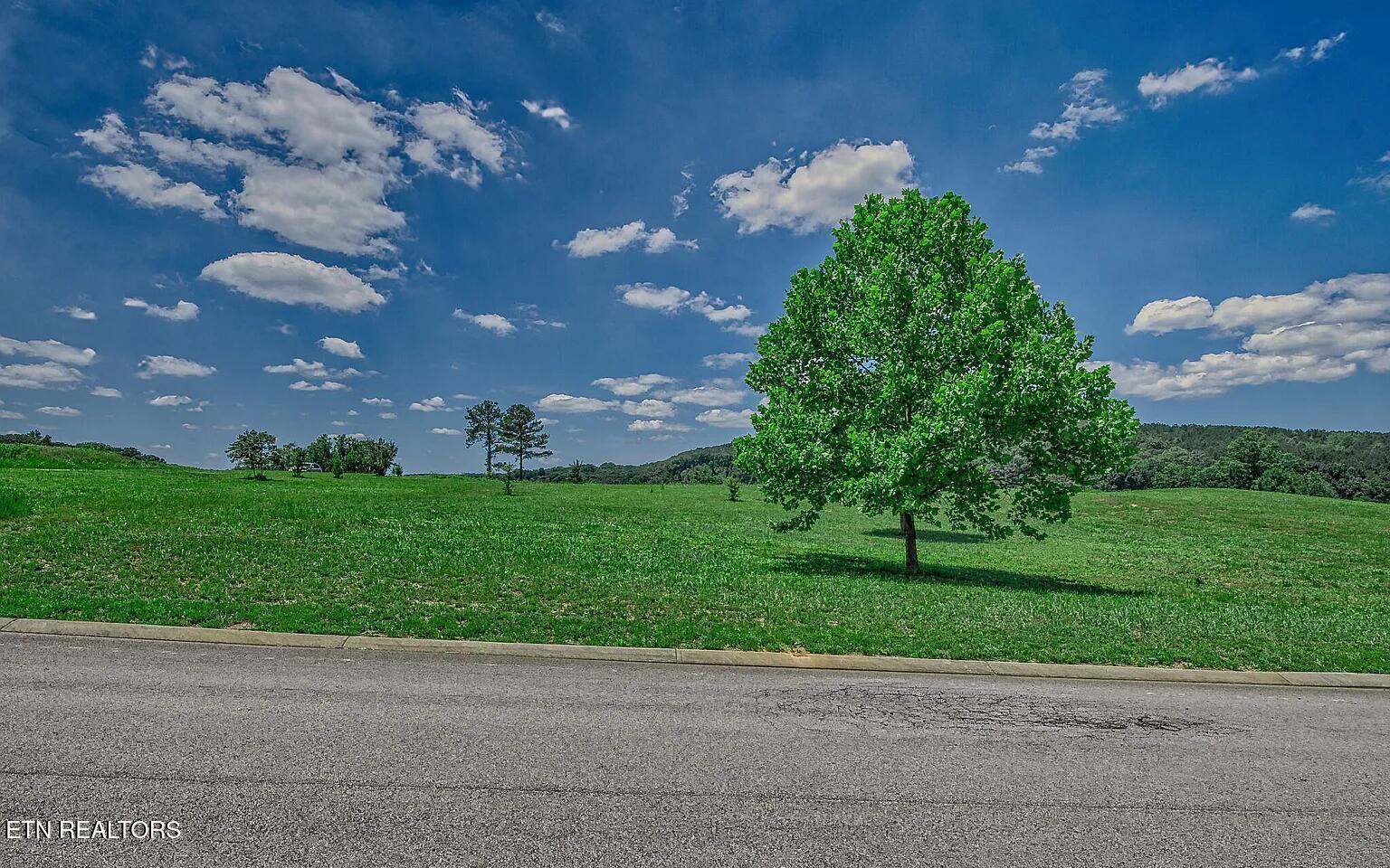 408 Wood Duck Lane Loudon TN 37774