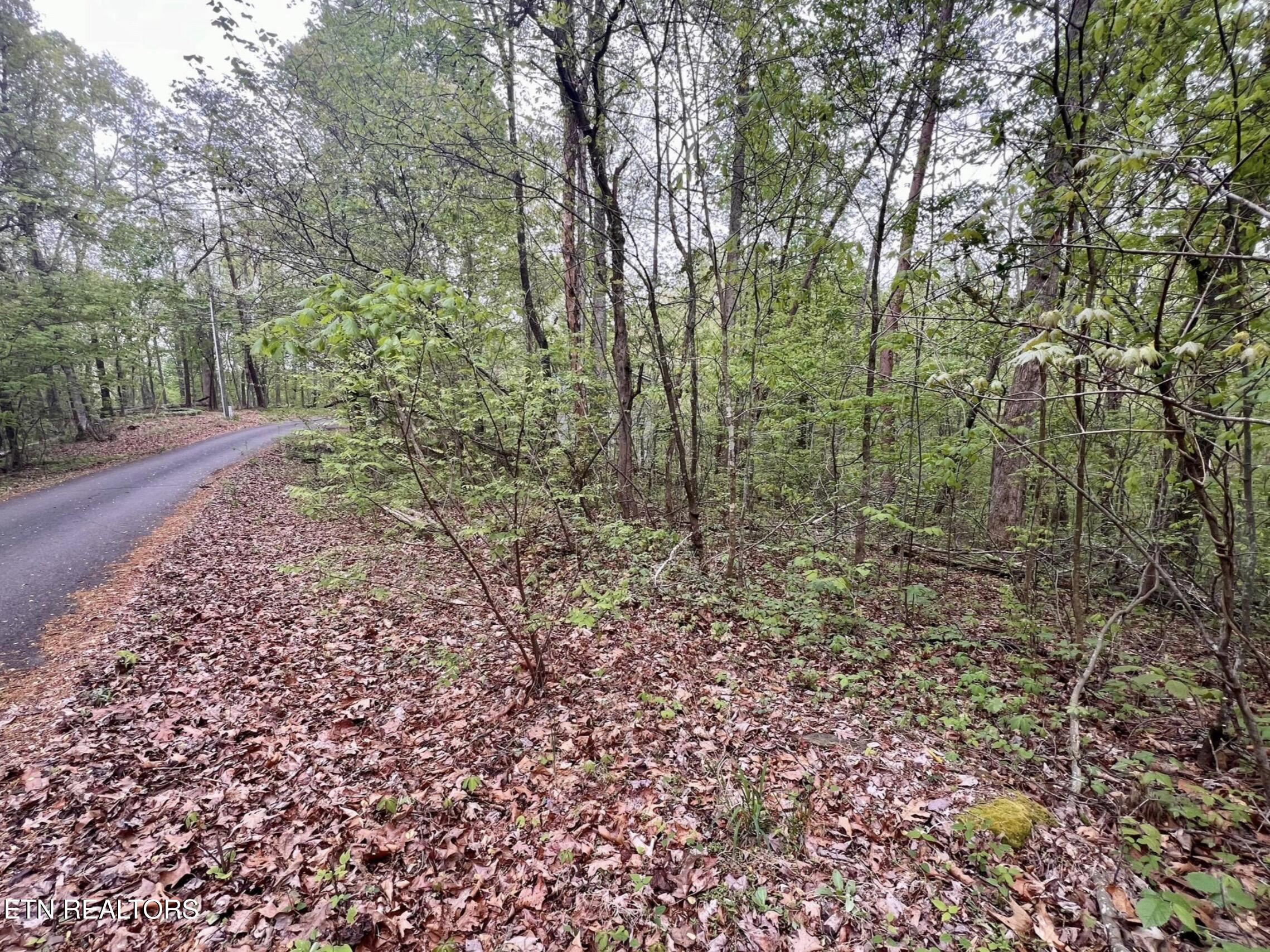 Lot 71&72 Polly Mountain Road Madisonville TN 37354
