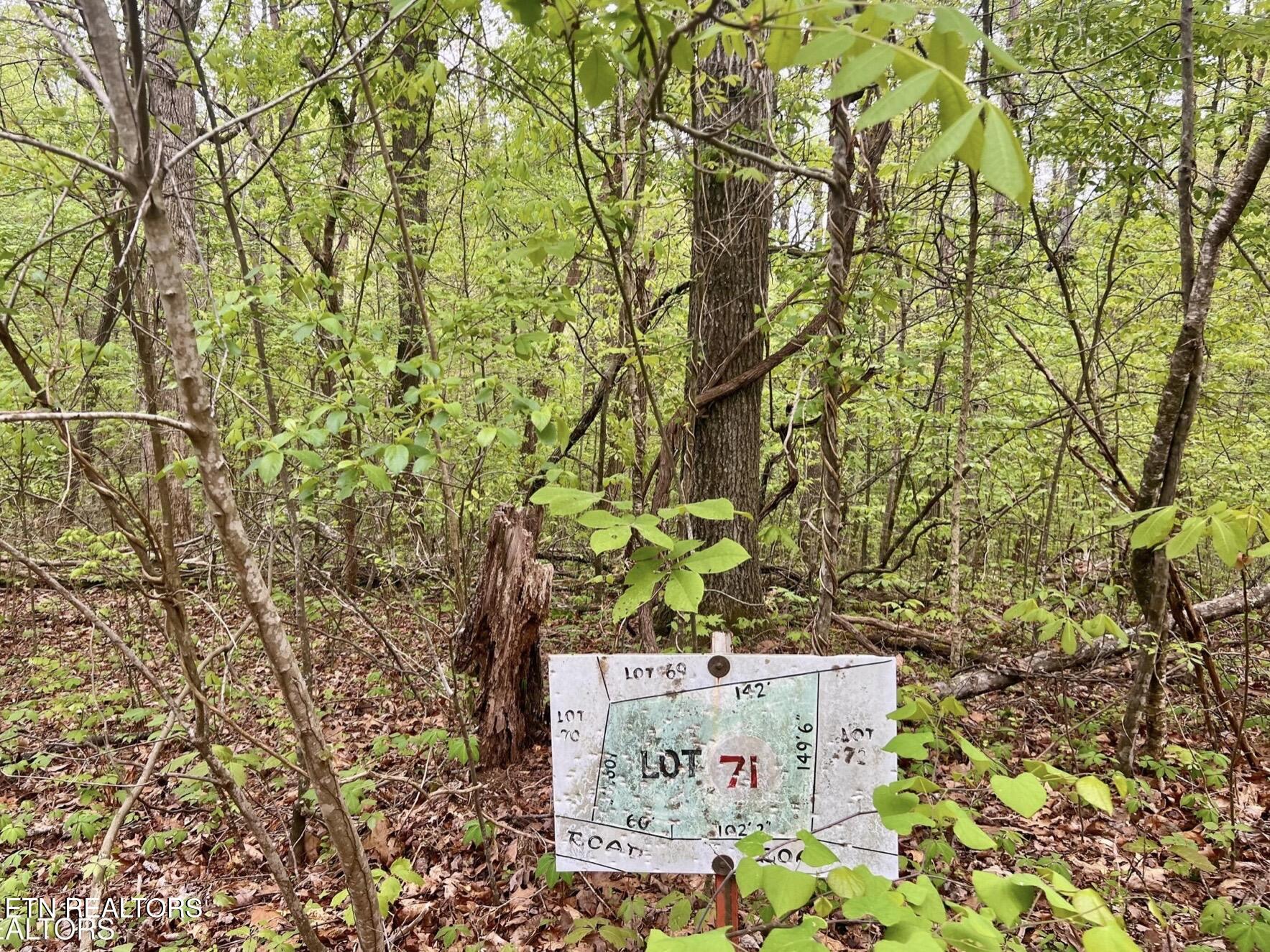 Lot 71&72 Polly Mountain Road Madisonville TN 37354