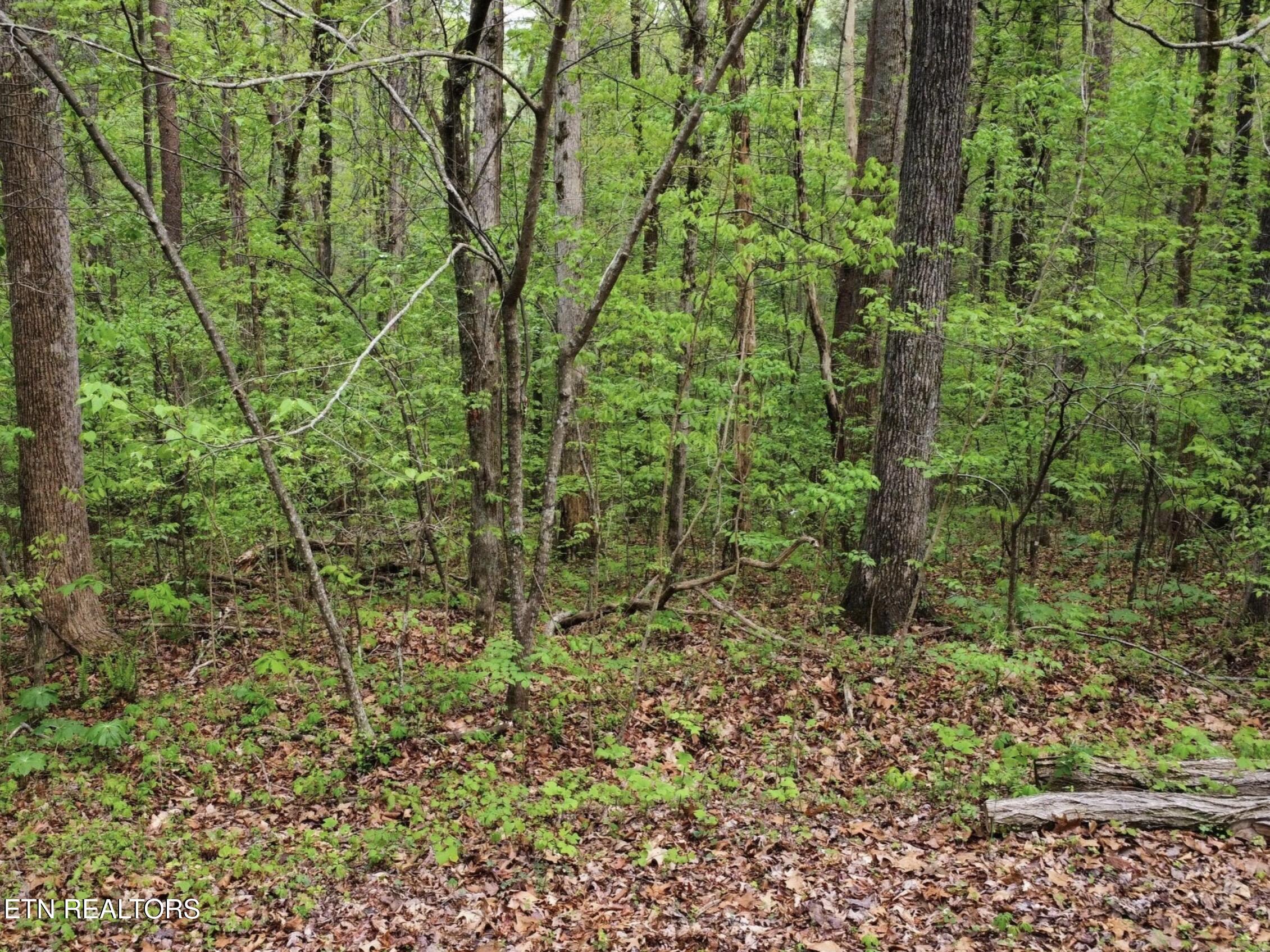 Lot 71&72 Polly Mountain Road Madisonville TN 37354