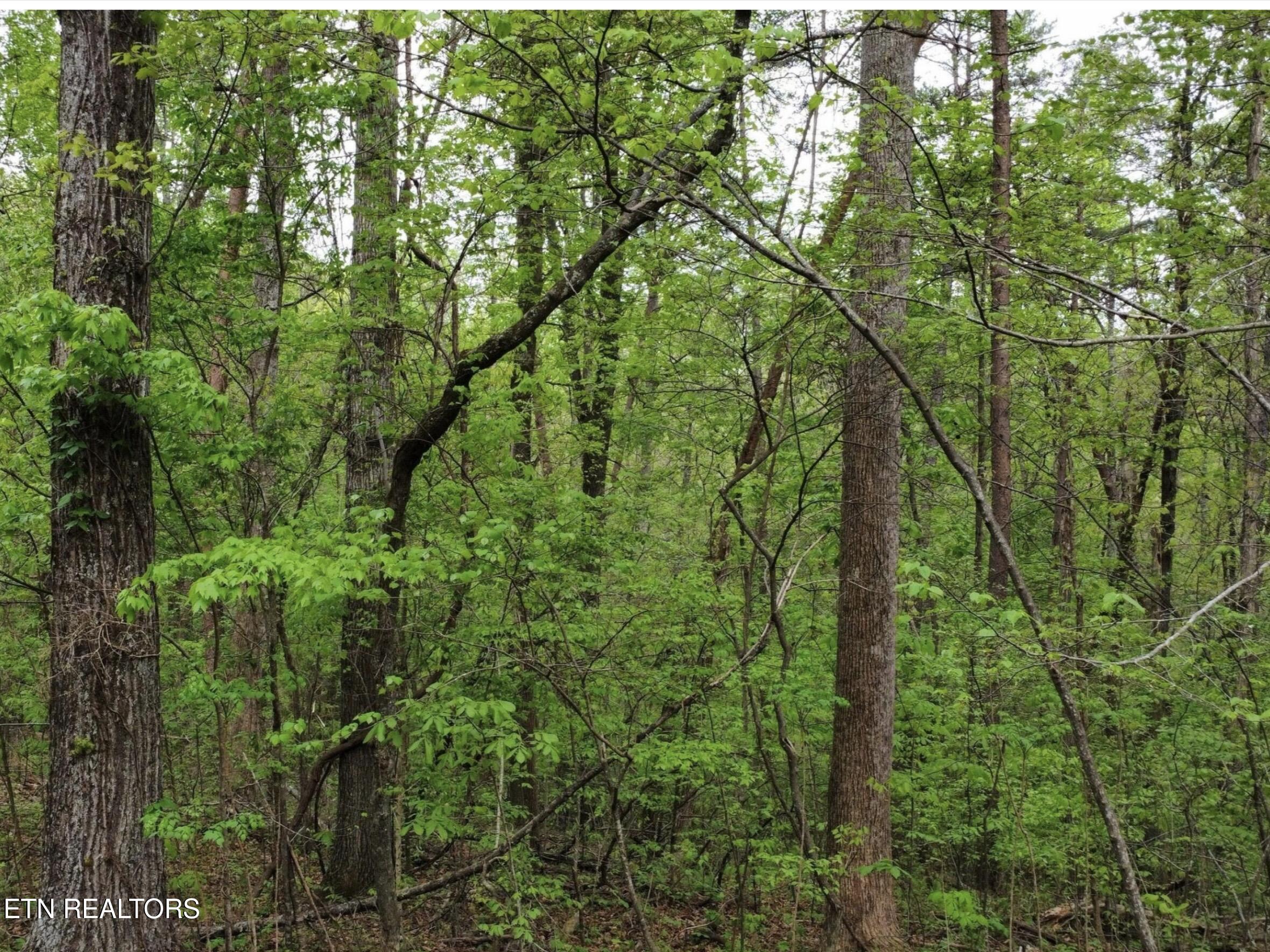 Lot 71&72 Polly Mountain Road Madisonville TN 37354