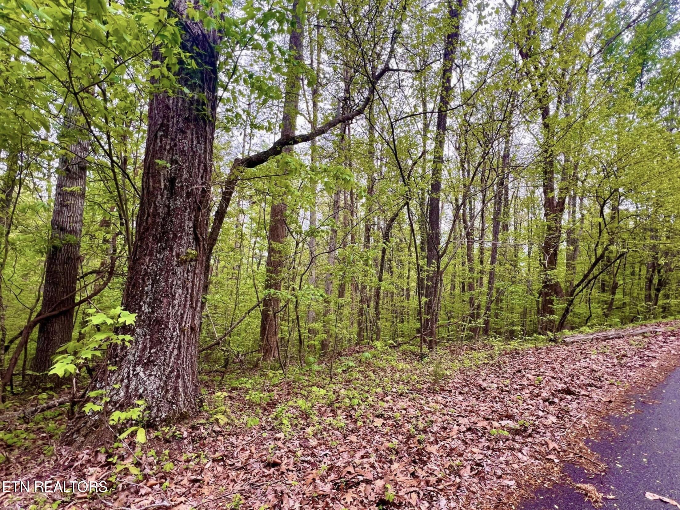 Lot 71&72 Polly Mountain Road Madisonville TN 37354