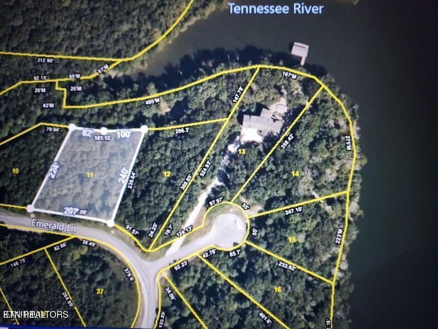 Emerald Pointe Circle Rockwood TN 37854