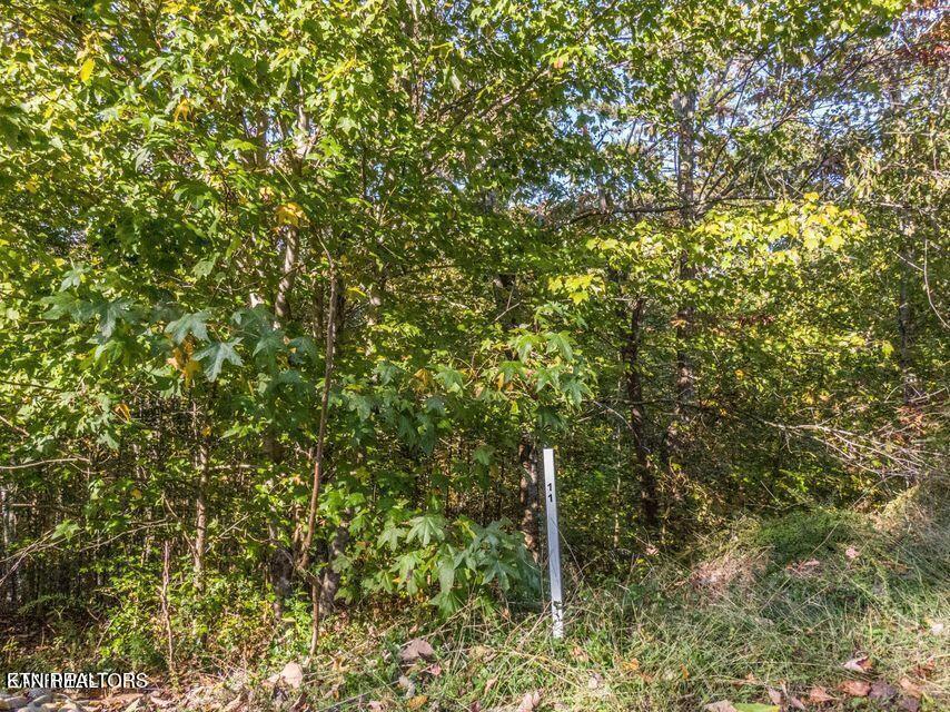 Emerald Pointe Circle Rockwood TN 37854