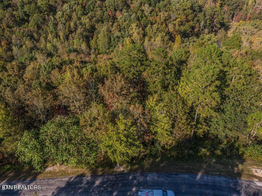 Emerald Pointe Circle Rockwood TN 37854