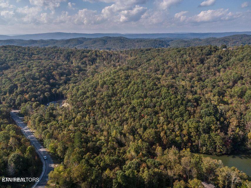Emerald Pointe Circle Rockwood TN 37854