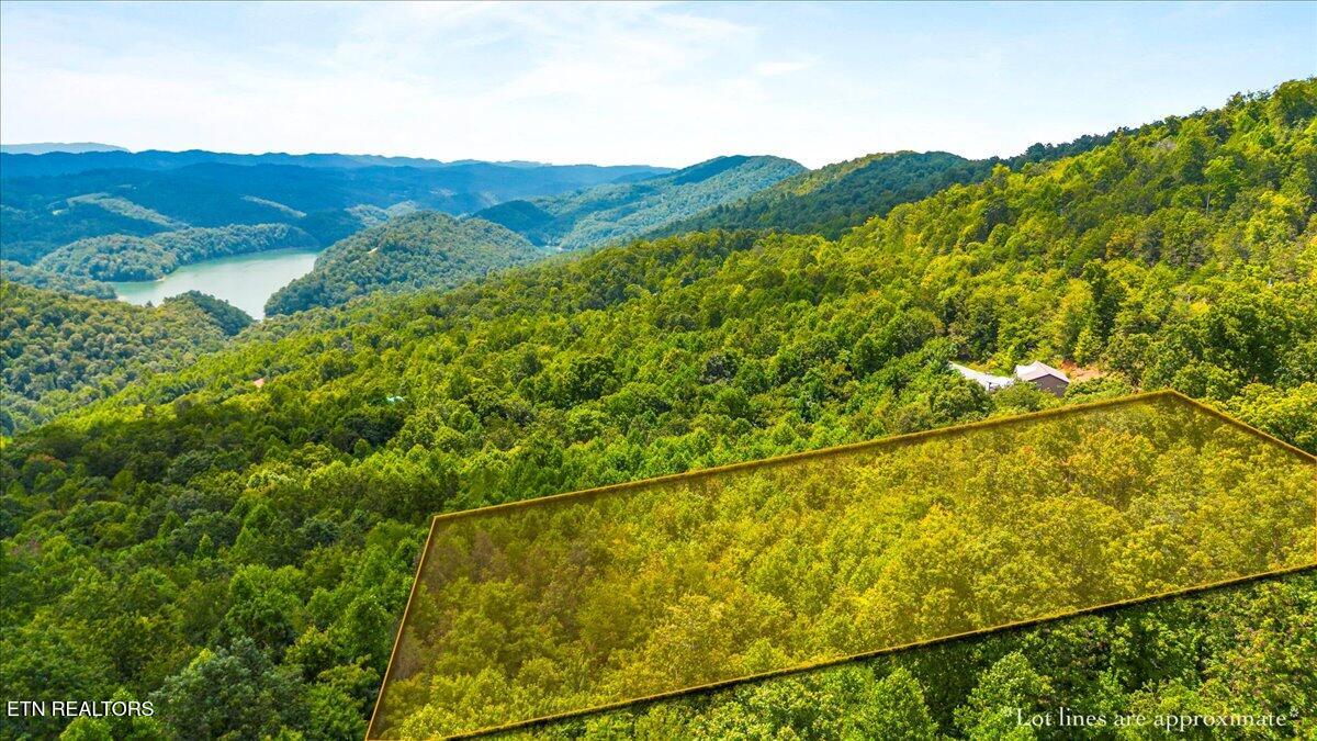 Lot 634 Chimney Rock Road New Tazewell TN 37825