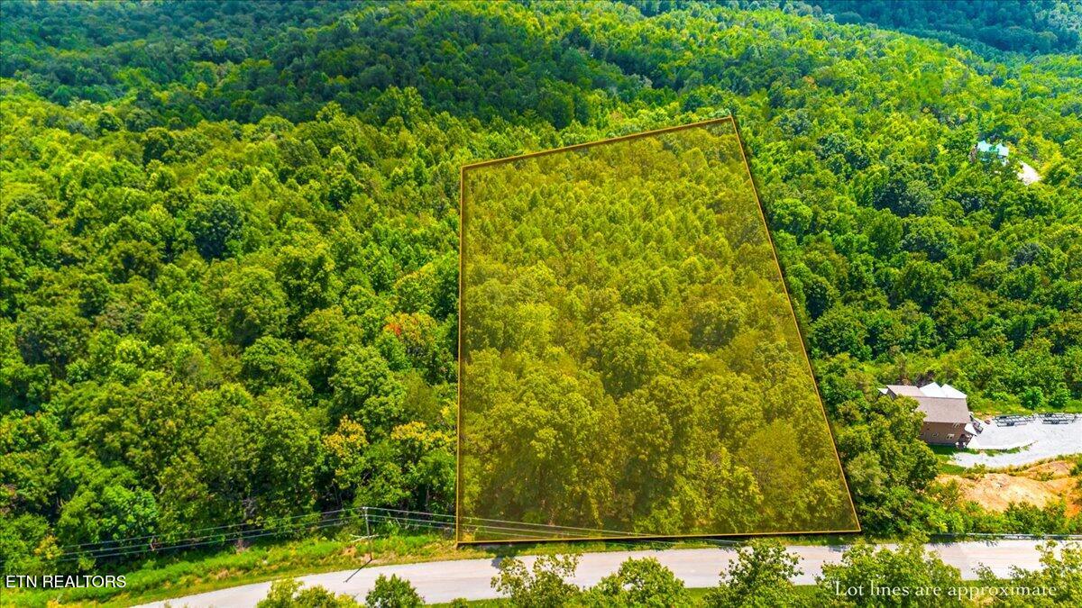 Lot 634 Chimney Rock Road New Tazewell TN 37825