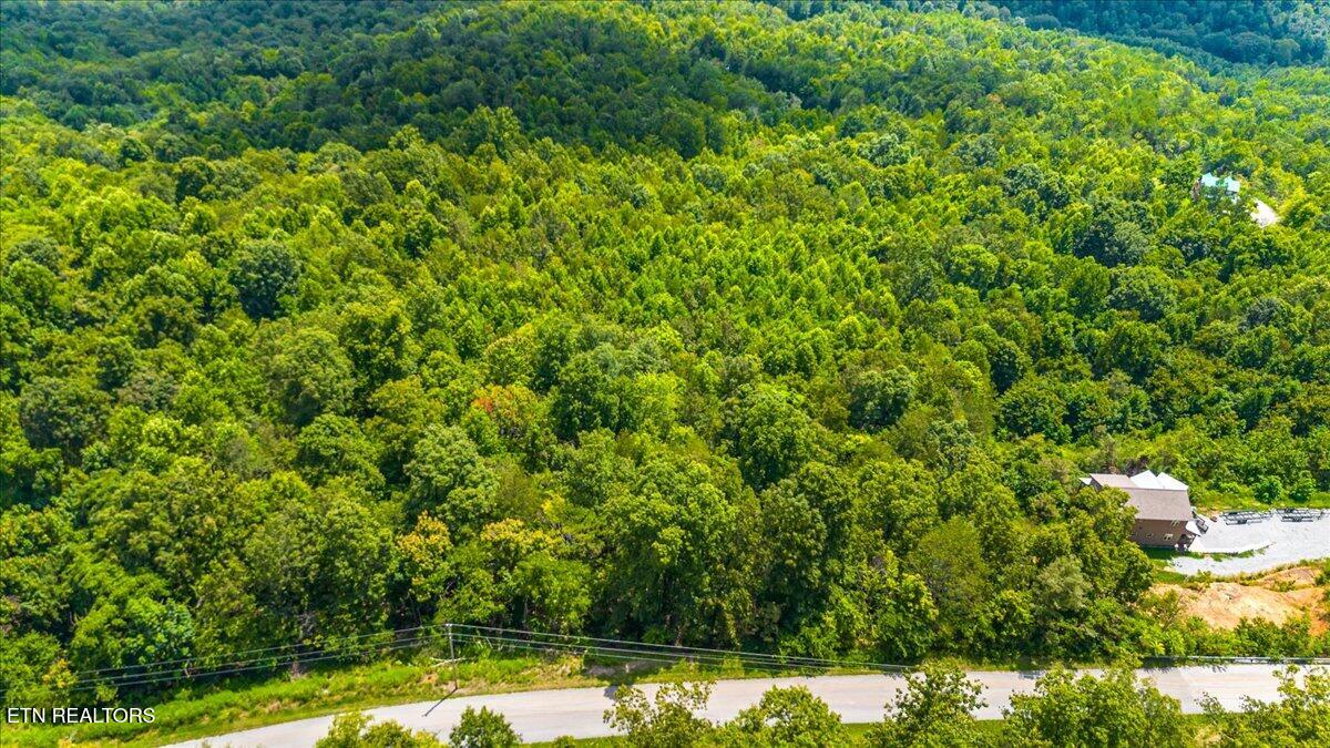 Lot 634 Chimney Rock Road New Tazewell TN 37825