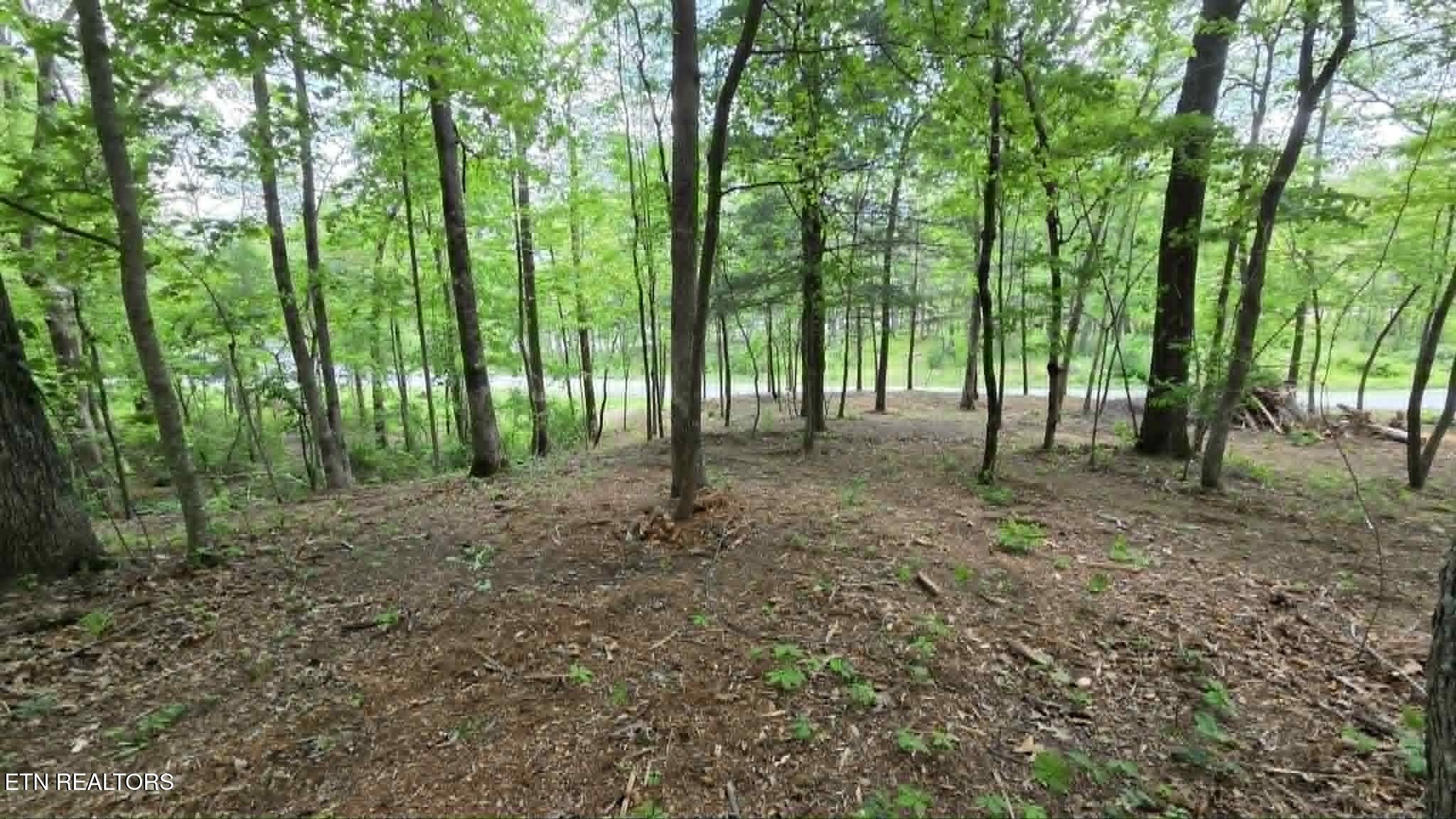 Lot 8 & 10 Keating Loop Crossville TN 38555
