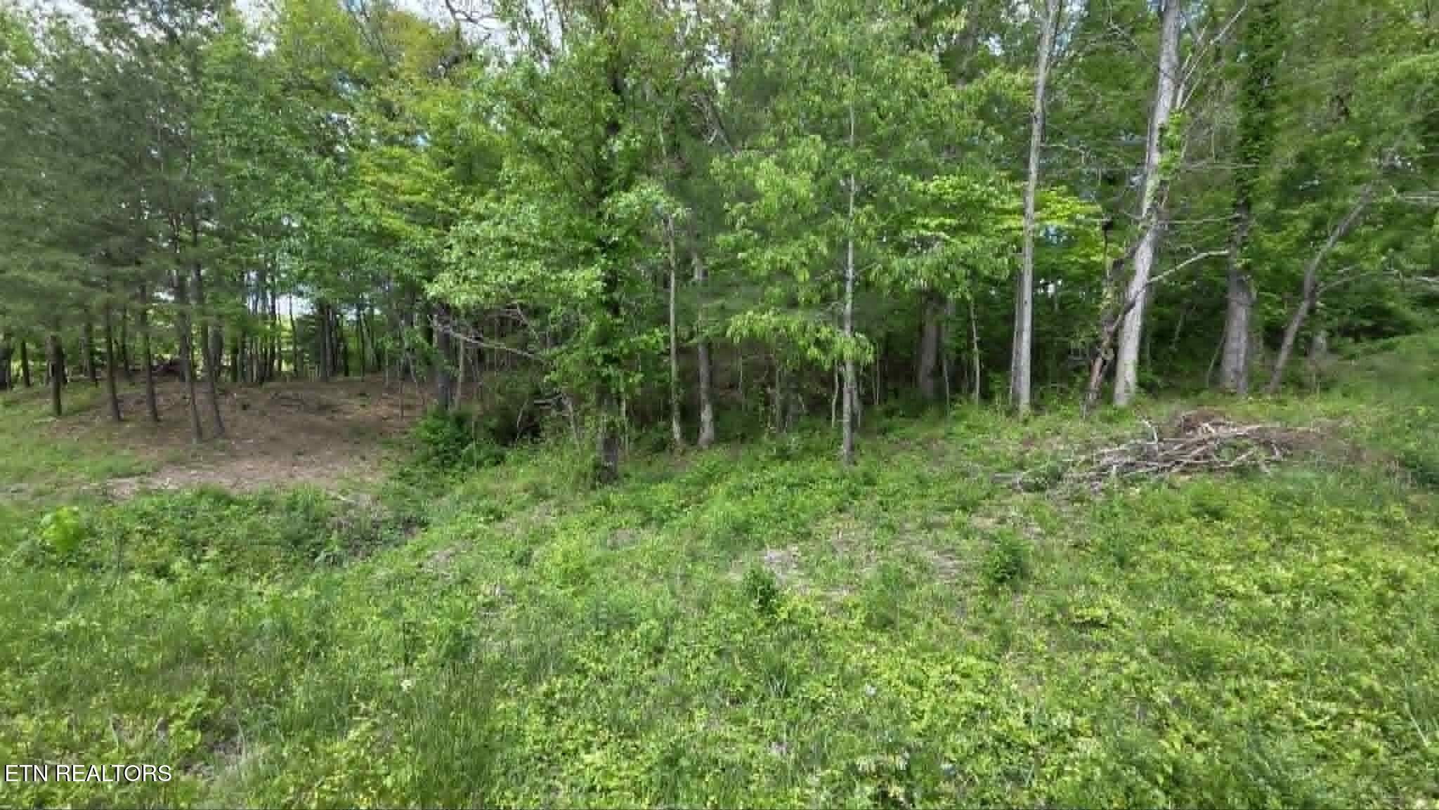 Lot 8 & 10 Keating Loop Crossville TN 38555