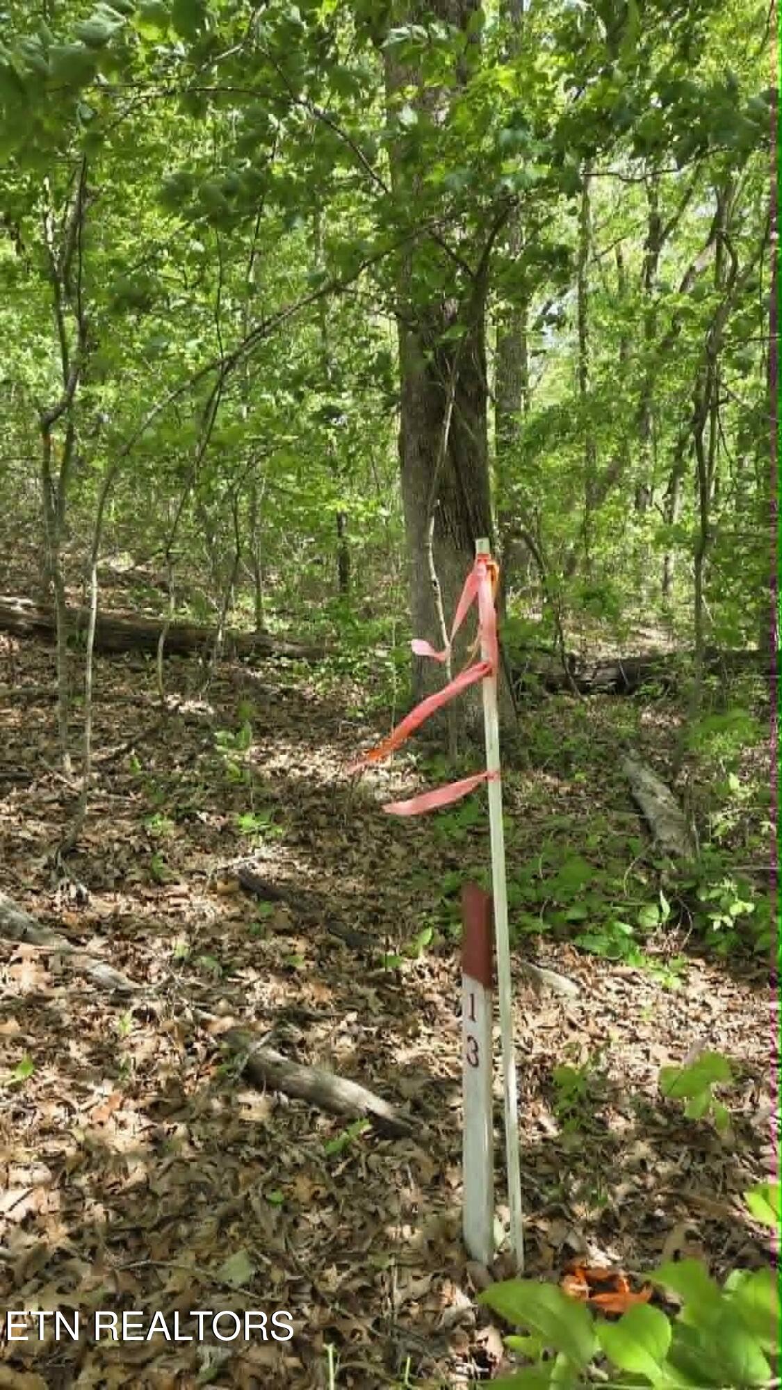 Lot 8 & 10 Keating Loop Crossville TN 38555