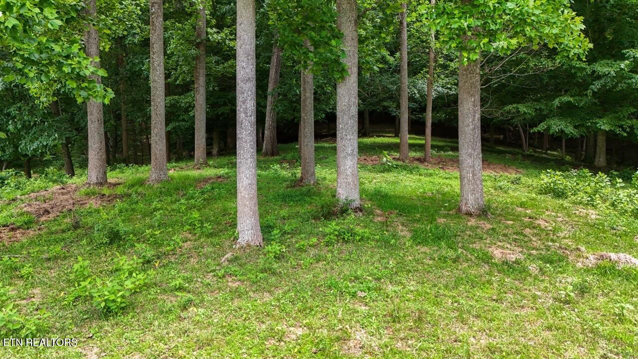 5 Acre Frog Level Road Johnson City TN 37615