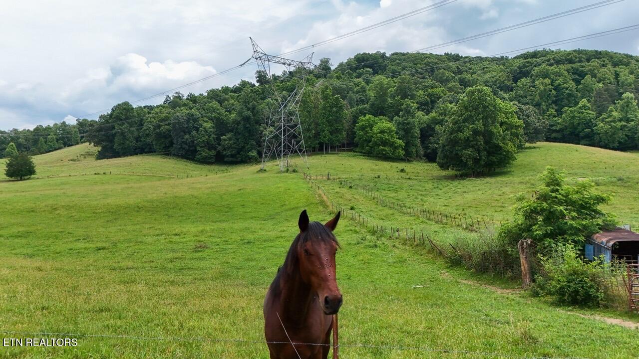 5 Acre Frog Level Road Johnson City TN 37615