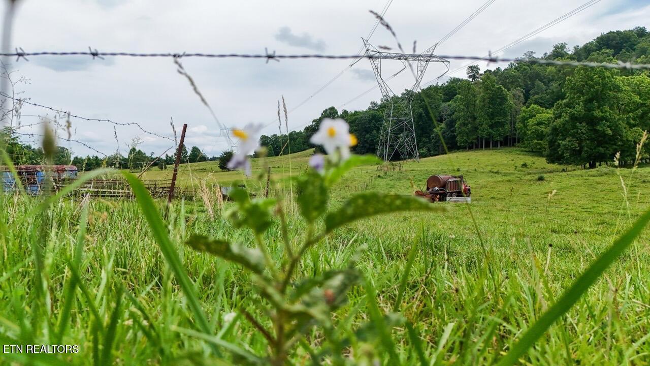 5 Acre Frog Level Road Johnson City TN 37615