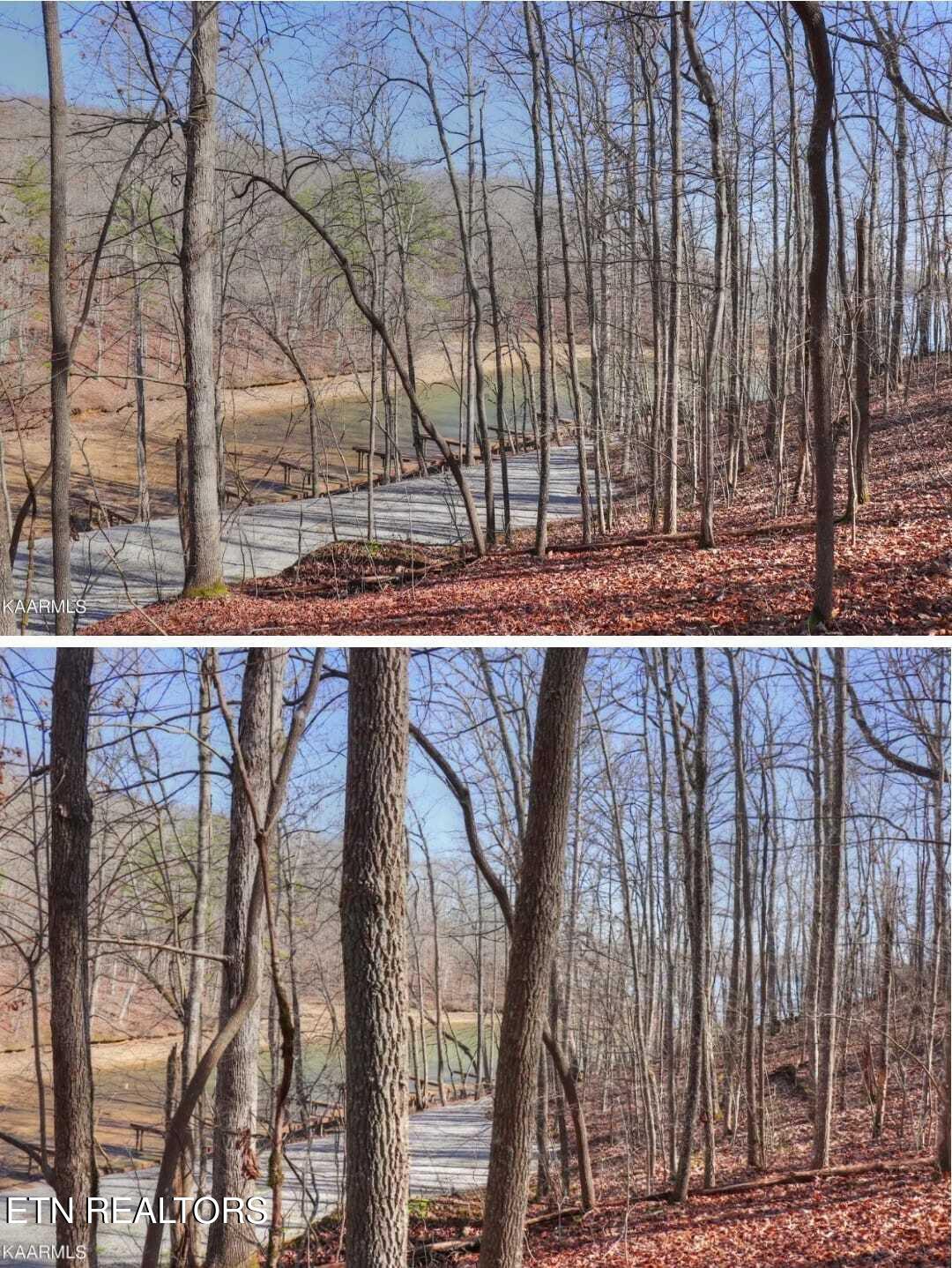 #12 Emerald Pointe Circle Circle Rockwood TN 37854