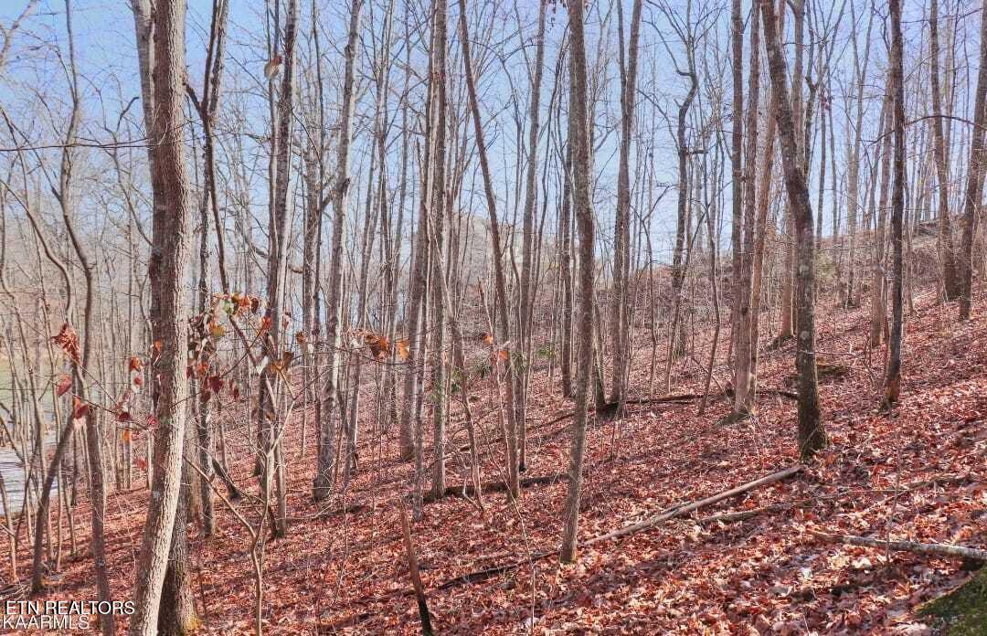 #12 Emerald Pointe Circle Circle Rockwood TN 37854