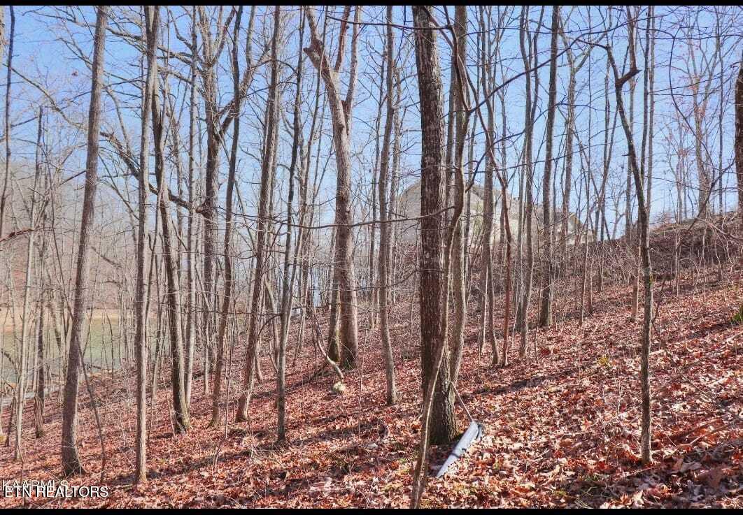#12 Emerald Pointe Circle Circle Rockwood TN 37854
