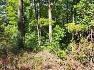 Lot 72 Tomahawk Road Jamestown TN 38556