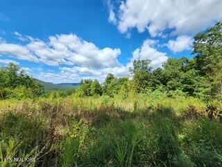 Lot 72 Tomahawk Road Jamestown TN 38556