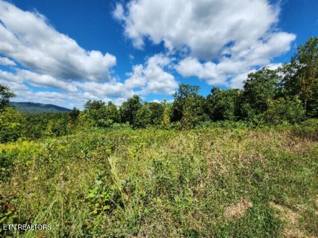 Lot 72 Tomahawk Road Jamestown TN 38556