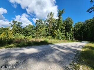 Lot 72 Tomahawk Road Jamestown TN 38556