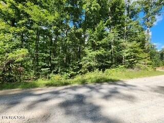 Lot 72 Tomahawk Road Jamestown TN 38556