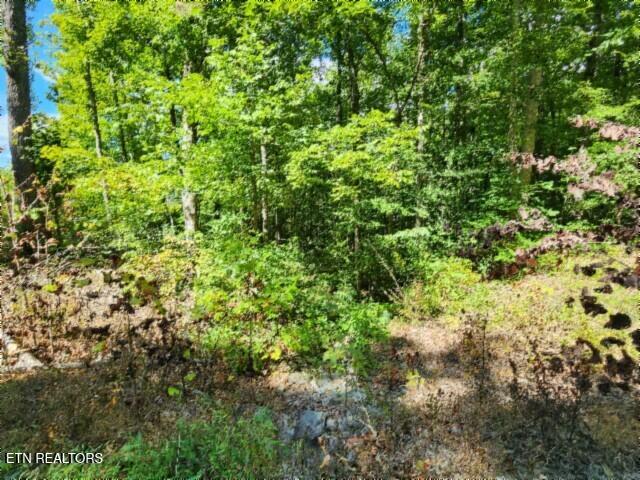 Lot 72 Tomahawk Road Jamestown TN 38556