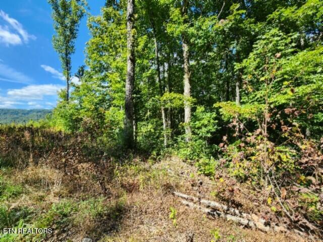 Lot 72 Tomahawk Road Jamestown TN 38556