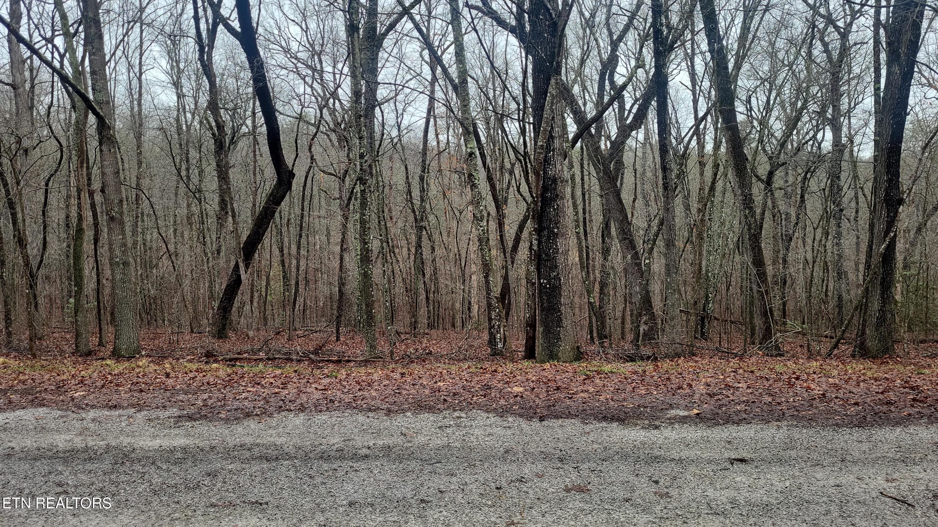 19 Ashford Place Crossville TN 38558