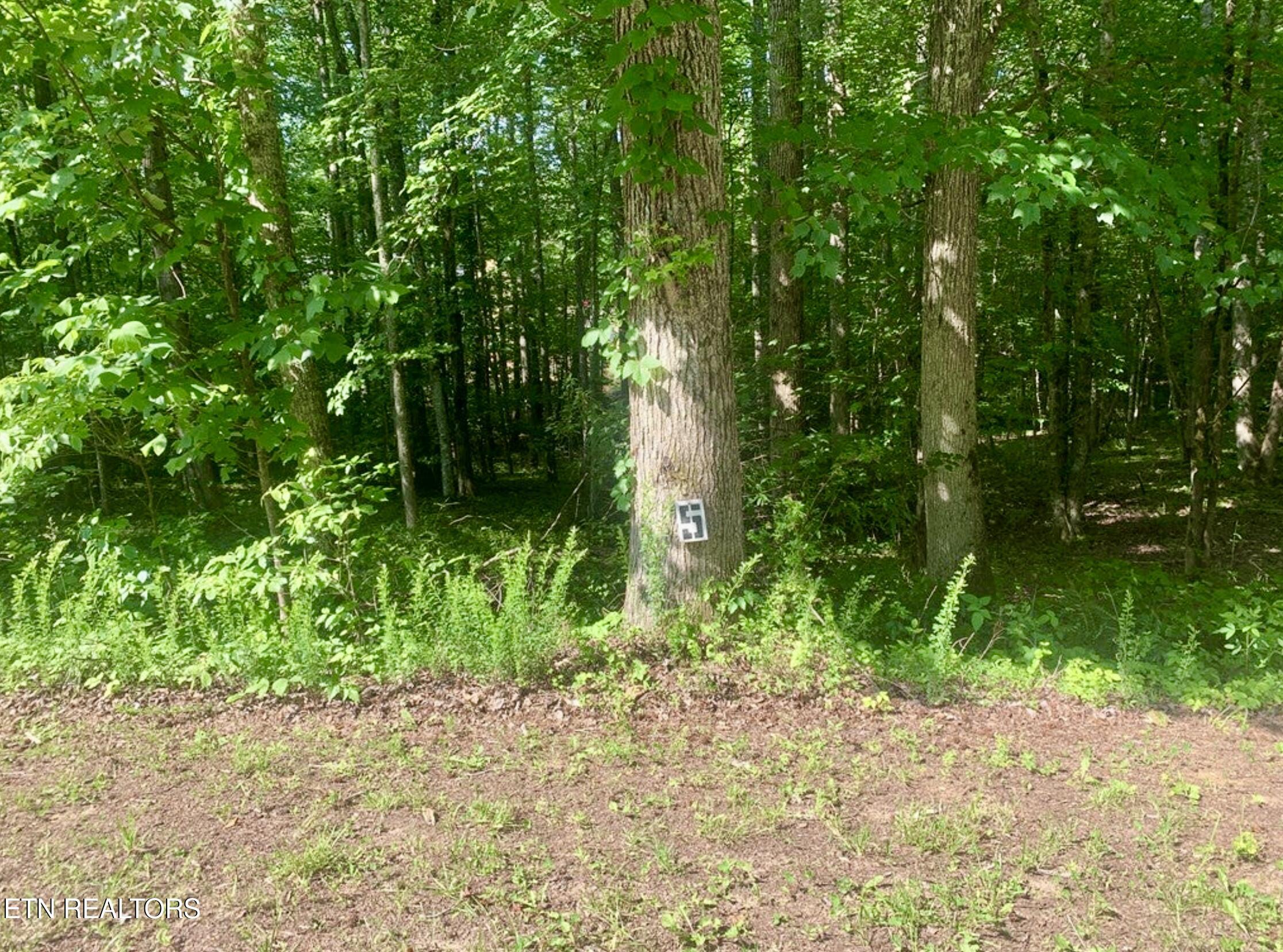Blue Heron Drive Harriman TN 37748