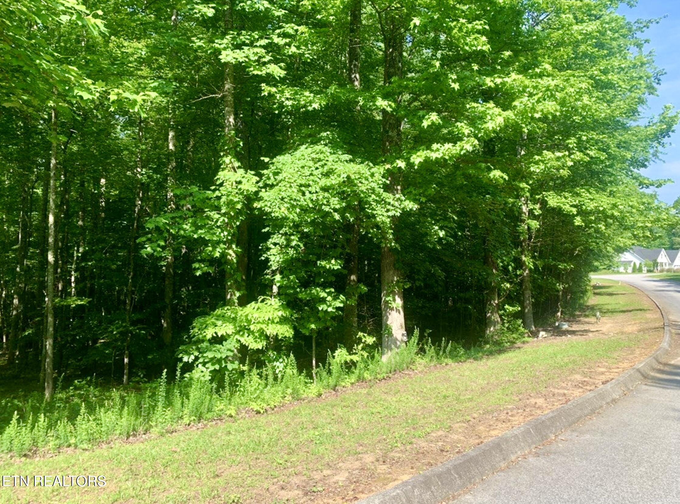 Blue Heron Drive Harriman TN 37748