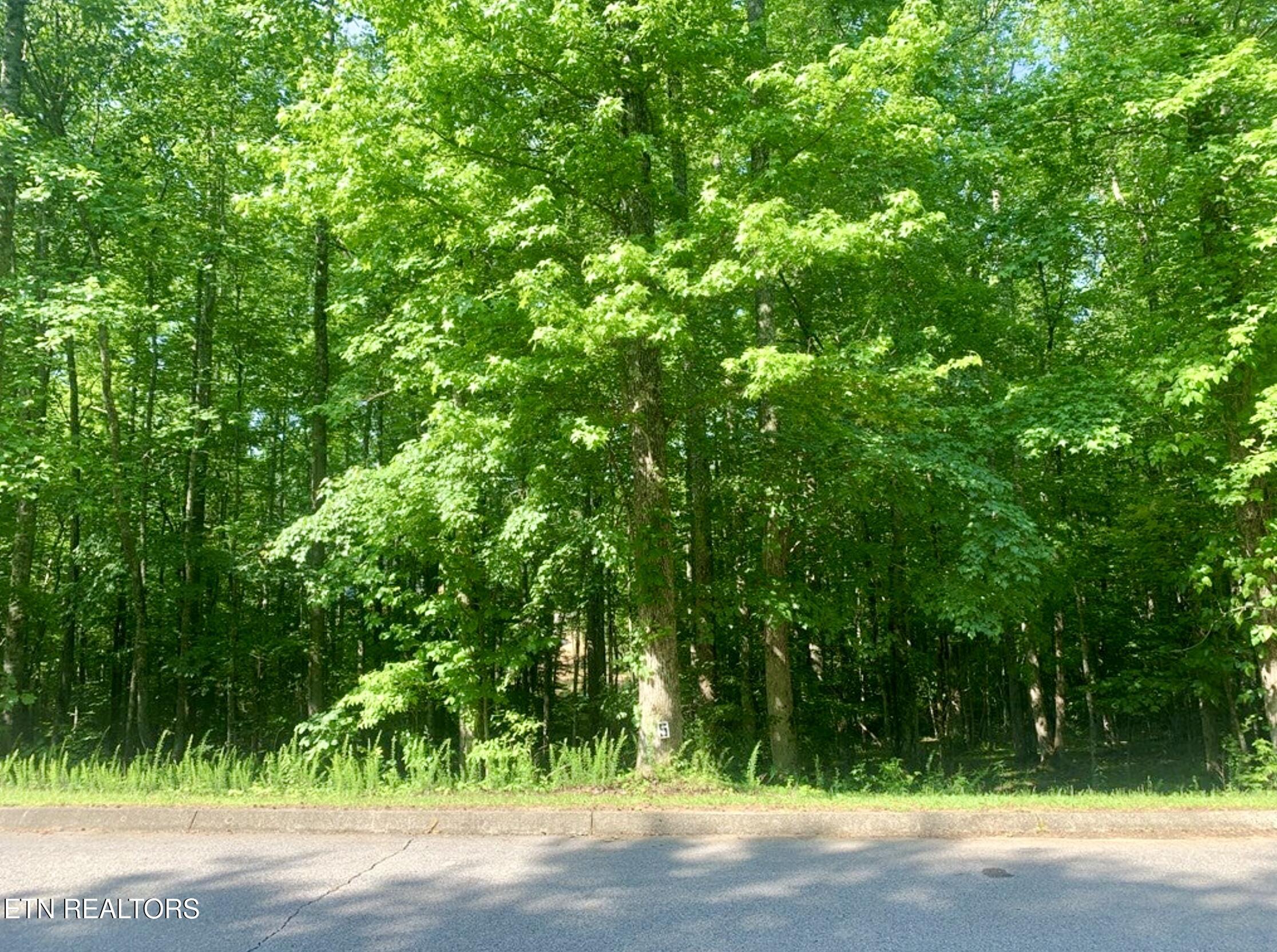 Blue Heron Drive Harriman TN 37748
