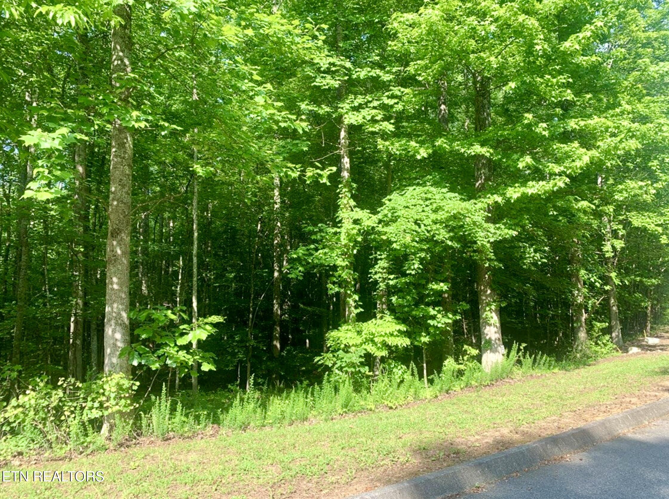 Blue Heron Drive Harriman TN 37748