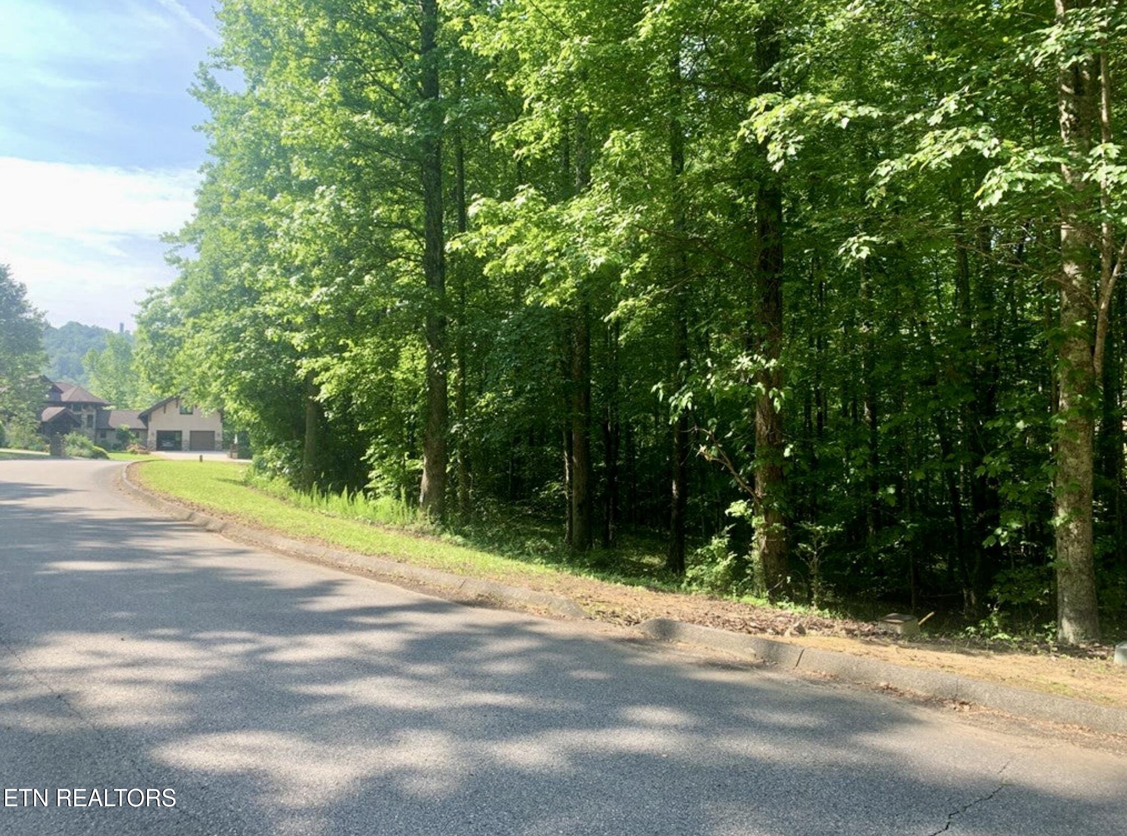 Blue Heron Drive Harriman TN 37748