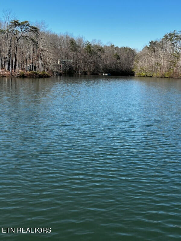 Lot 41 Crystal Point Monterey TN 38574