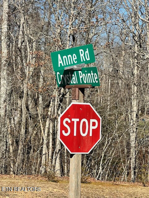 Lot 41 Crystal Point Monterey TN 38574